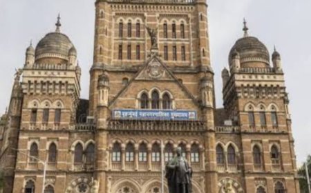 महसूल वसुलीत उत्कृष्ट कामगिरी – विधी समिती अध्यक्षा दिक्षा कारकर यांच्याकडून BMC कर्मचाऱ्यांचे कौतुक