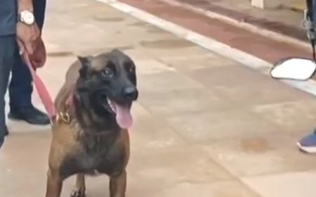 बुलढाणा पोलिसांच्या ‘जिमी’चा देशात डंका; अखिल भारतीय पोलीस कर्तव्य मेळाव्यात प्रथम क्रमांक