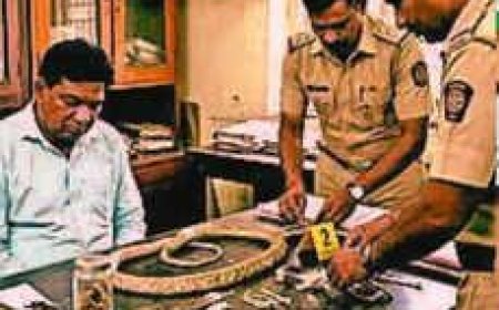 रवींद्र एरंडे प्रकरणात नवे धक्कादायक खुलासे; पोलीस कोठडीत ४ दिवसांची वाढ