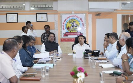 मोठ्या प्रकल्पांपेक्षा मूलभूत सुविधांवर भर द्या – खासदार श्रीरंग बारणे