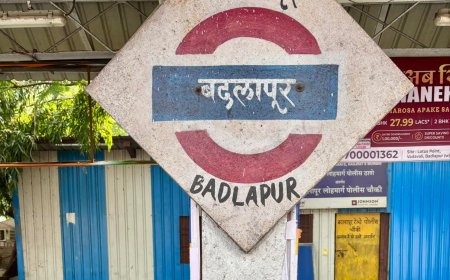 कुळगाव-बदलापूरमध्ये वीज उपकेंद्रासाठी चार एकर जमीन हस्तांतरित; मंत्रिमंडळाची मंजुरी