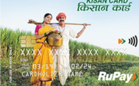 पशुपालकांसाठी सुवर्णसंधी; ‘पशुसंवर्धन किसान क्रेडिट कार्ड’ अंतर्गत ३ लाखांपर्यंत कर्ज