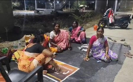 हिंगोलीत ६ महिन्यांपासून वेतन रखडल्याने वनमजूर महिलांचे उपोषण