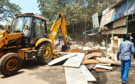 मौलाना शौकत अली मार्गावरील अतिक्रमणांवर BMCची धडक कारवाई; फर्निचर विक्रेत्यांचे निष्कासन