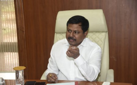 ठाण्यातील शासकीय गोचर जमिनीची मोजणी करून अहवाल सादर करा – विधानसभा उपाध्यक्ष अण्णा बनसोडे