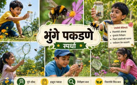 भुंगे पकडा, हुमणी रोखा! उद्यापासून कोल्हापूर जिल्ह्यात किड नियंत्रण स्पर्धा