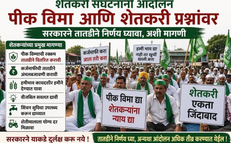 यवतमाळचा बळीराजा आता विमा कंपन्यांचा कोथळा बाहेर काढणार; उद्या कृषी कार्यालयावर मुक्काम पोस्ट आंदोलन