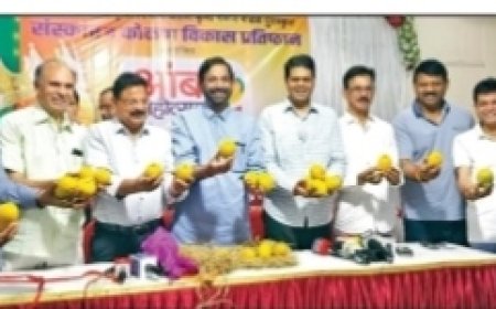 ठाण्यात कोकण विकास प्रतिष्ठान आणि संस्कार संस्था आयोजित १९वा आंबा महोत्सव Slug: