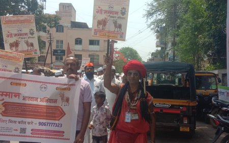 गौसंमान जागरण अभियानांतर्गत तहसीलदारांना निवेदन; गोवंश संरक्षणासाठी 8 प्रमुख मागण्या