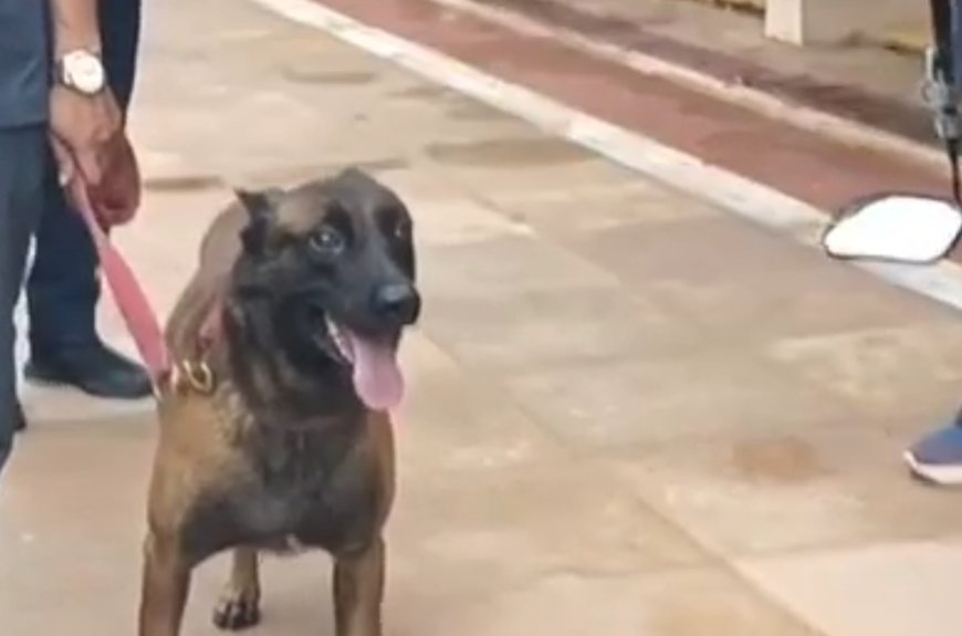 बुलढाणा पोलिसांच्या ‘जिमी’चा देशात डंका; अखिल भारतीय पोलीस कर्तव्य मेळाव्यात प्रथम क्रमांक