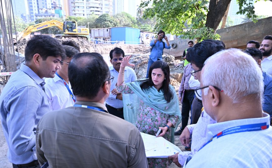 पावसाळ्यापूर्वी नालेसफाईला गती : गाळ काढण्यावर प्राधान्य, मनहोल तपासणीचे आयुक्त अश्विनी भिडे यांचे निर्देश