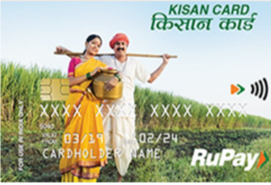 पशुपालकांसाठी सुवर्णसंधी; ‘पशुसंवर्धन किसान क्रेडिट कार्ड’ अंतर्गत ३ लाखांपर्यंत कर्ज