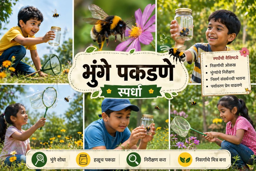 भुंगे पकडा, हुमणी रोखा! उद्यापासून कोल्हापूर जिल्ह्यात किड नियंत्रण स्पर्धा