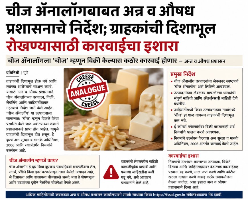 चीज अॅनालॉगबाबत अन्न व औषध प्रशासनाचे निर्देश; ग्राहकांची दिशाभूल रोखण्यासाठी कारवाईचा इशारा