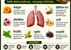 फुफ्फुसांसाठी उपयुक्त नैसर्गिक चहा; श्वसन सुधारण्यासाठी फायदेशीर औषधी वनस्पती