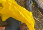 वीज कोसळून तरुणाचा करुण अंत; उमरखेडमध्ये माय-लेक गंभीर भाजले