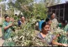 पोरज येथील महिला शेतकरी गटाचा अभिनव उपक्रम; एक हजार लिटर दशपर्णी अर्काची निर्मिती