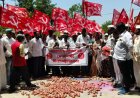 अकोले तहसील कार्यालयासमोर कांदे ओतून किसान सभेचे तीव्र आंदोलन