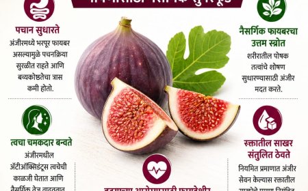 अंजीर खाण्याचे आरोग्यदायी फायदे; पोषणासाठी नैसर्गिक सुपरफूड ठरते अंजीर