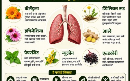 फुफ्फुसांसाठी उपयुक्त नैसर्गिक चहा; श्वसन सुधारण्यासाठी फायदेशीर औषधी वनस्पती