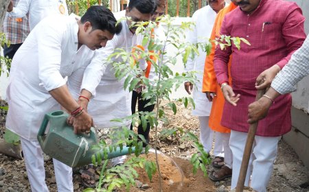 पिंपरी-चिंचवडमध्ये ‘हरित पिंपरी-चिंचवड अभियान’; वाढत्या प्रदूषणावर मात करण्यासाठी महापौर रवि लांडगे यांचा मोठा निर्णय