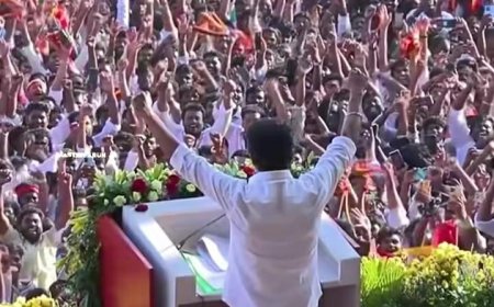 तामिळनाडू निवडणुकीनंतर सोशल मीडियावर खळबळ! विजय थलपतींच्या विजयासोबत वैयक्तिक आयुष्याचा ‘योगायोग’ चर्चेत