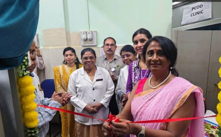 महाडीबीटी पोर्टलवर प्रमाणित बियाणे व पीक प्रात्यक्षिकासाठी ऑनलाइन अर्ज सुरू
