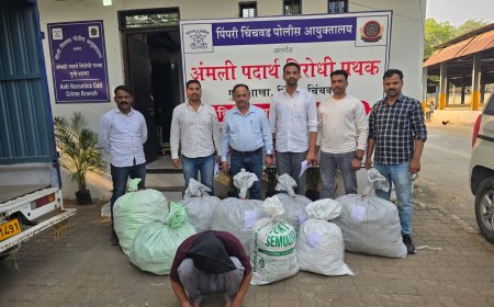 पिंपरी-चिंचवडमध्ये गांजा मिश्रित गोळ्या आणि गुटखा जप्त; २.४१ लाखांचा मुद्देमाल हस्तगत