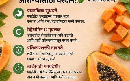 ब्रेकिंग न्यूज | पपई खाण्याचे मोठे फायदे; पचन, त्वचा आणि प्रतिकारशक्तीसाठी उपयुक्त
