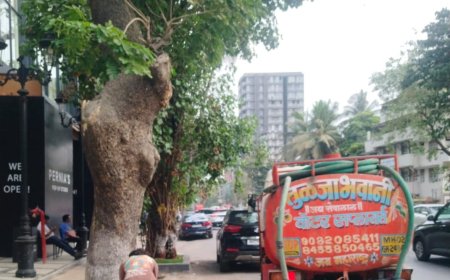 वाढत्या उष्णतेच्या पार्श्वभूमीवर बृहन्मुंबई महानगरपालिकेकडून झाडांची विशेष काळजी