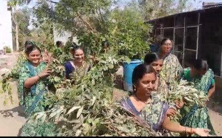 पोरज येथील महिला शेतकरी गटाचा अभिनव उपक्रम; एक हजार लिटर दशपर्णी अर्काची निर्मिती
