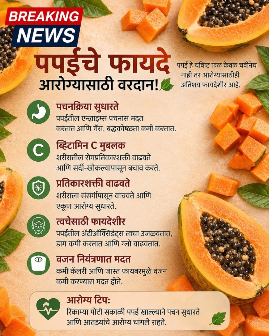 ब्रेकिंग न्यूज | पपई खाण्याचे मोठे फायदे; पचन, त्वचा आणि प्रतिकारशक्तीसाठी उपयुक्त