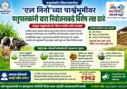 एल निनोच्या संभाव्य संकटाच्या पार्श्वभूमीवर पशुपालकांना चारा नियोजनाचे आवाहन; दुग्धोत्पादनावर परिणाम टाळण्यासाठी आतापासूनच तयारी करा