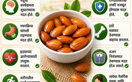 भिजवलेले बदाम खाण्याचे आरोग्यदायी फायदे; तज्ज्ञांकडून नियमित सेवनाचा सल्ला