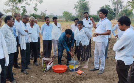 आधुनिक तंत्रज्ञानामुळे भात शेती अधिक किफायतशीर व उत्पादनक्षम होणार; तुळशी येथे शेतकऱ्यांना मार्गदर्शन