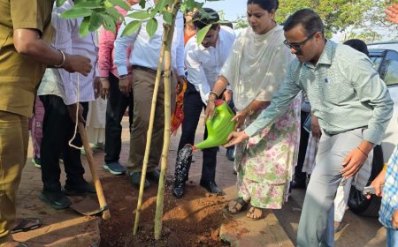 मुंबईतील प्रत्येक क्षेपणभूमी परिसरात वृक्ष लागवड; ‘रिरुट’ उपक्रमांतर्गत कांजूरमार्ग येथे १६ हजार वृक्ष लागवडीचा शुभारंभ