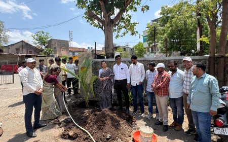 भगूर नगर परिषदेच्या वतीने पर्यावरण दिनानिमित्त वृक्षारोपण उपक्रम उत्साहात संपन्न