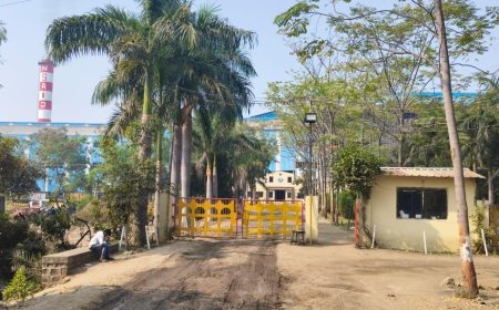 नॅचरल शुगरचा विदर्भात पुन्हा डंका; उसाला प्रतिटन २,९१३ रुपयांचा विक्रमी अंतिम दर जाहीर