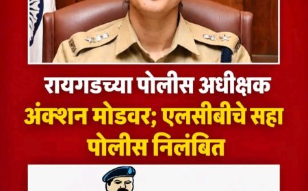 रायगडचे पोलीस अधीक्षक अॅक्शन मोडवर; एलसीबीचे सहा पोलीस कर्मचारी निलंबित, चोरीच्या मुद्देमालाच्या नोंदीत गंभीर विसंगती