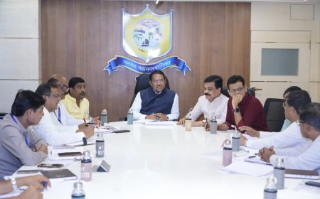 वीज समस्येवर कायमस्वरूपी तोडगा काढा; महावितरणाचा गलथान कारभार खपवून घेणार नाही – खासदार श्रीरंग बारणे