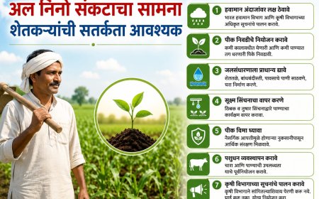 अल निनोचा संभाव्य प्रभाव; शेतकऱ्यांनी पेरणीची घाई टाळावी, जलसंधारणावर भर द्यावा