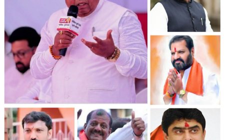 ‘ऑपरेशन टायगर’ची चर्चा; ठाकरे गटातील ६ खासदार फुटीच्या वाटेवर? मराठवाड्यात राजकीय खळबळ
