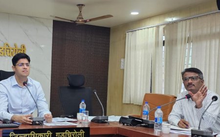 मान्सूनपूर्व वीज कामांमध्ये हलगर्जीपणा खपवून घेतला जाणार नाही : जिल्हाधिकारी अविश्यांत पंडा