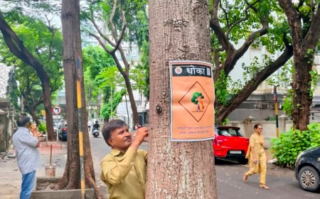 पावसाळ्यात झाडांखाली थांबू नका; मुंबईकरांना महापालिकेचे सावधगिरीचे आवाहन