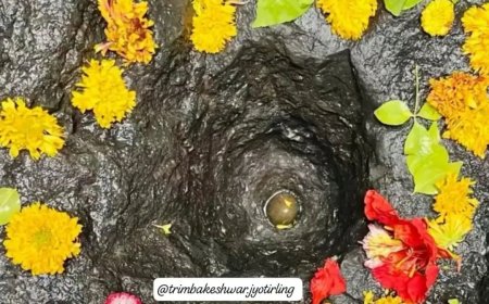 त्र्यंबकेश्वर मंदिरातील ६५ फूट खोल अमृतकुंडाची स्वच्छता; तळाशी शिवपिंडीचे दुर्मिळ दर्शन