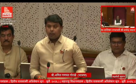 विषारी दारू प्रकरणातील आरोपींवर मोक्का; मृतांच्या २२ कुटुंबांना प्रत्येकी ५ लाखांची मदत, विधान परिषदेत मोठी घोषणा
