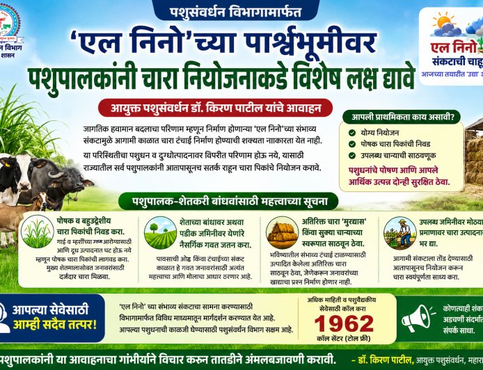 एल निनोच्या संभाव्य संकटाच्या पार्श्वभूमीवर पशुपालकांना चारा नियोजनाचे आवाहन; दुग्धोत्पादनावर परिणाम टाळण्यासाठी आतापासूनच तयारी करा