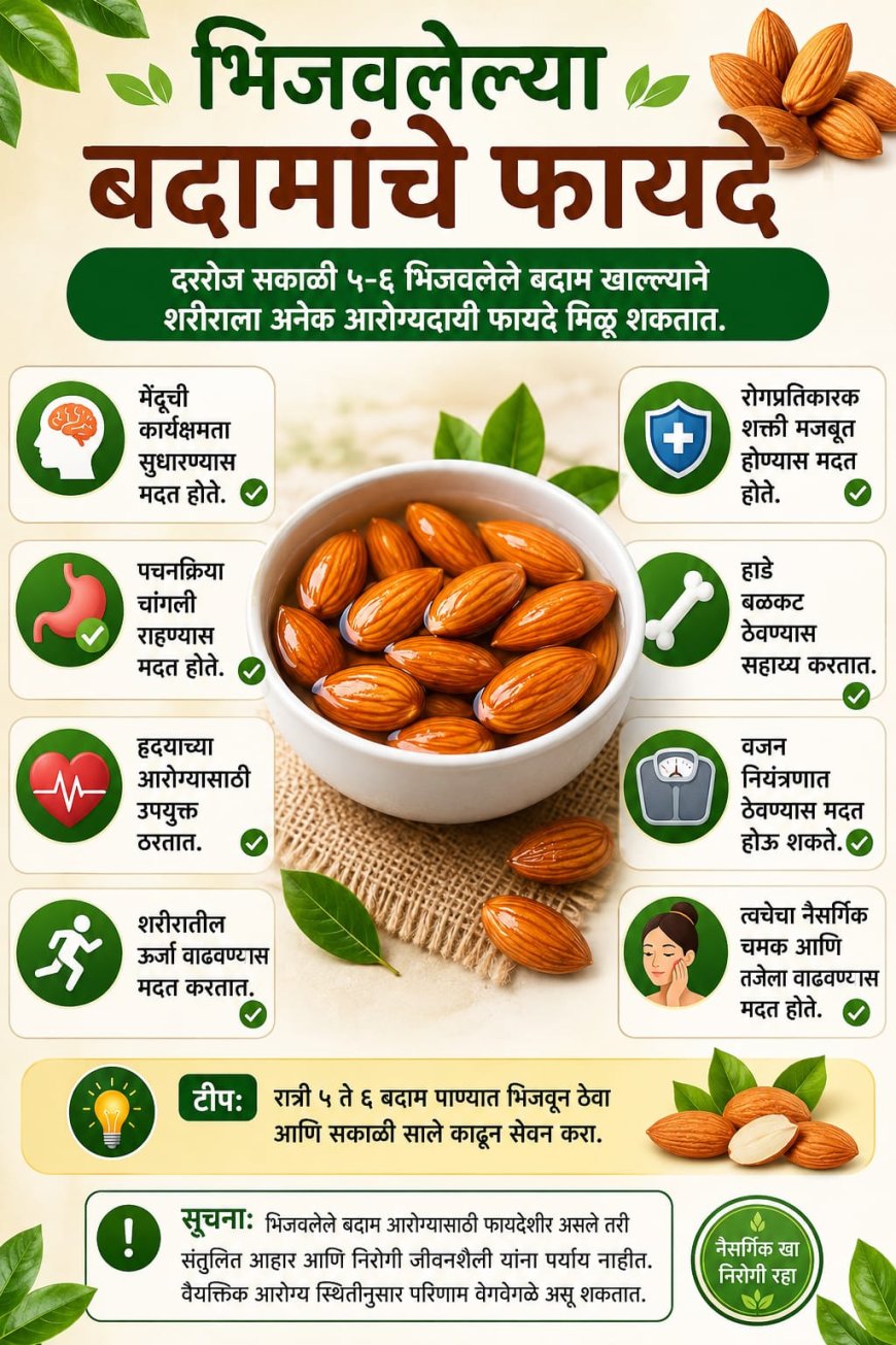 भिजवलेले बदाम खाण्याचे आरोग्यदायी फायदे; तज्ज्ञांकडून नियमित सेवनाचा सल्ला