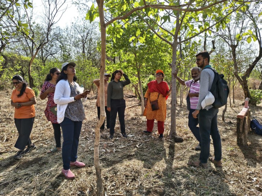 जागतिक पर्यावरण दिनी ‘नाशिक वनराई’चा दशकपूर्ती सोहळा उत्साहात संपन्न