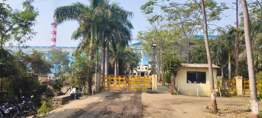 नॅचरल शुगरचा विदर्भात पुन्हा डंका; उसाला प्रतिटन २,९१३ रुपयांचा विक्रमी अंतिम दर जाहीर